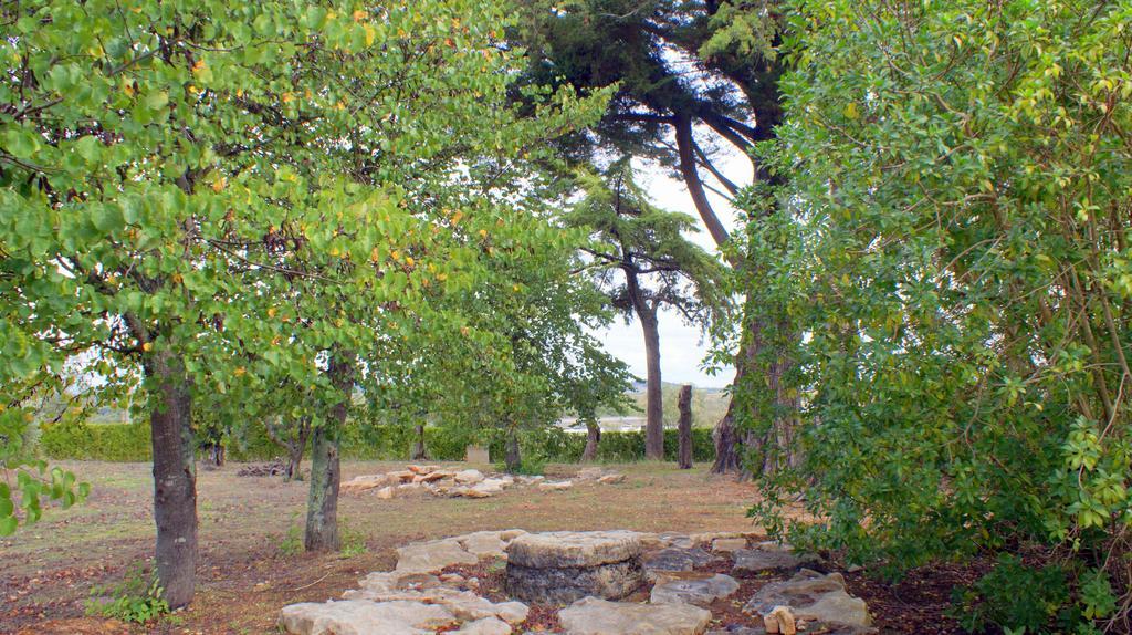Quinta Da Mata Villa Sobral  Eksteriør bilde